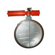 ZSHW pneumatic high caliber butterfly valve